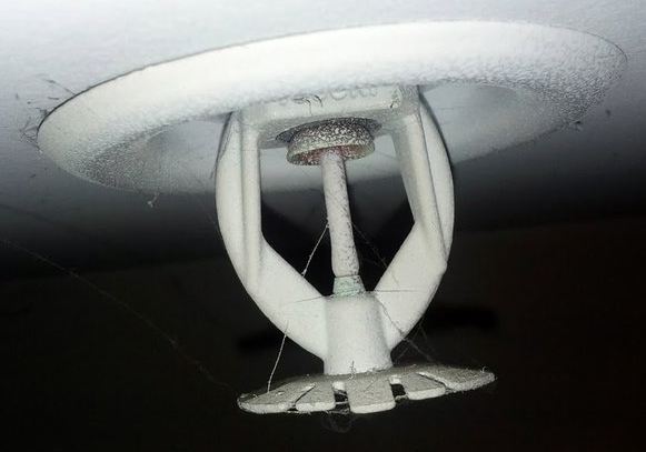 A painted fire sprinkler