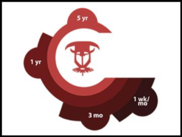 ITM timelines