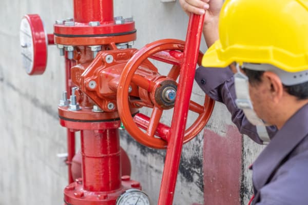 Maintaining a fire sprinkler system