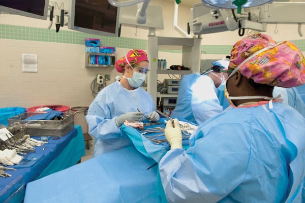 Surgeons practice a medical procedure