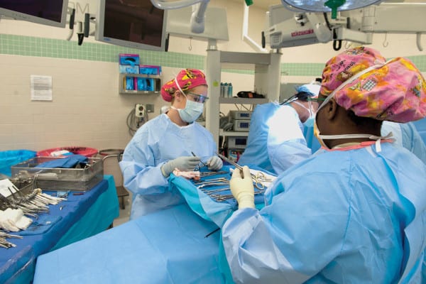 Surgeons practice a medical procedure