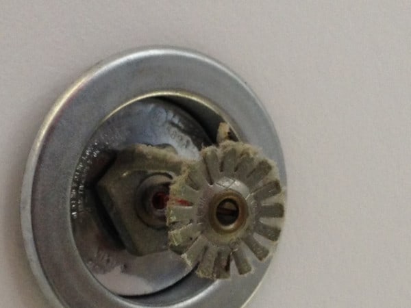 Dirty fire sprinkler