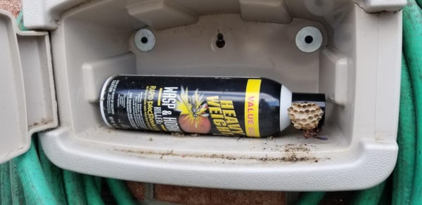 Wasp nest on a spray can