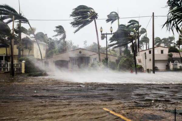 Flooded street during hurricane in Florida