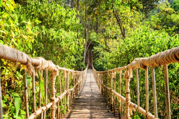 Rope bridge