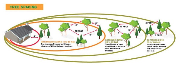 Graphic of NFPA Tree Spacing