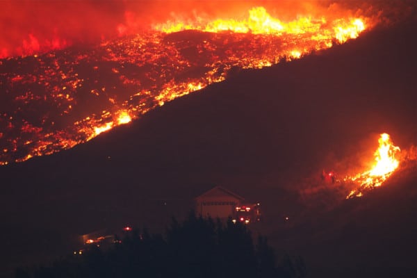 Picture of Wildfire