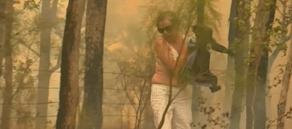 Picture of Woman Rescuing Koalas from Wildfire