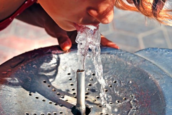 Backflow preventer vs check valve