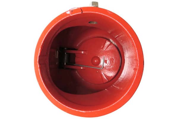 Picture of check valve