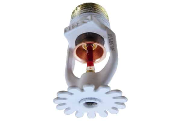 Picture of Tyco Corrosion Resistant Fire Sprinkler Picture of Tyco Corrosion Resistant Fire Sprinkler