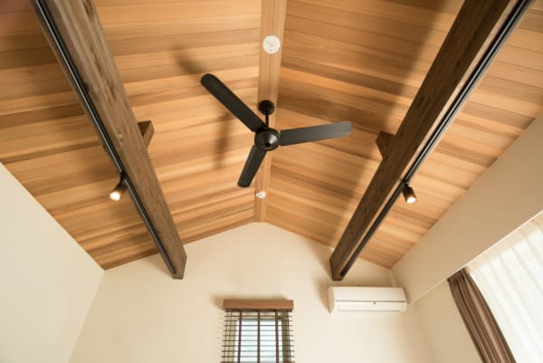 Ceiling fan