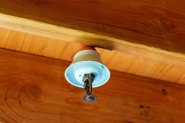 CPVC pipe above fire sprinkler head