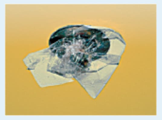 Sprinkler covered by cellophane bag