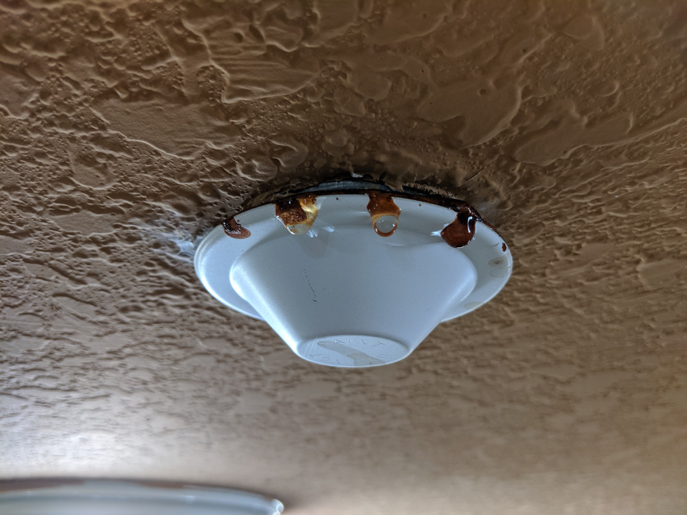 Leaking concealed sprinkler